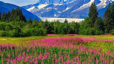 Cheap Flights to Alaska from $118 .